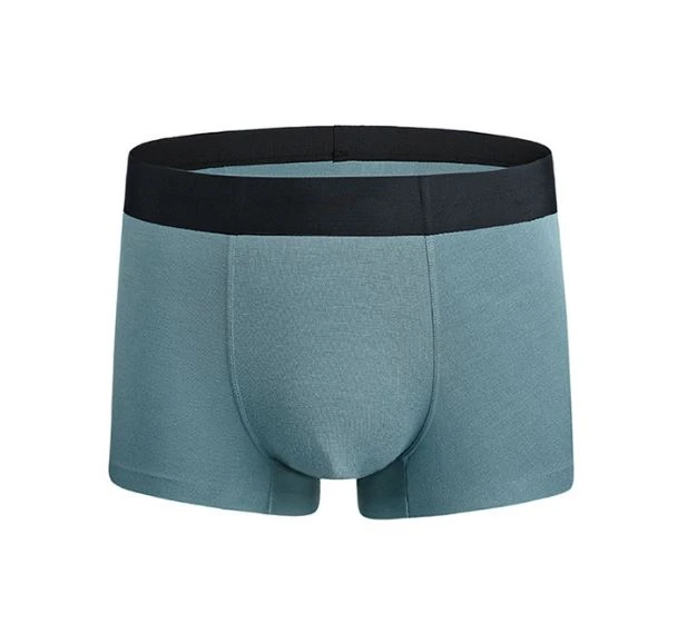 men's underwear