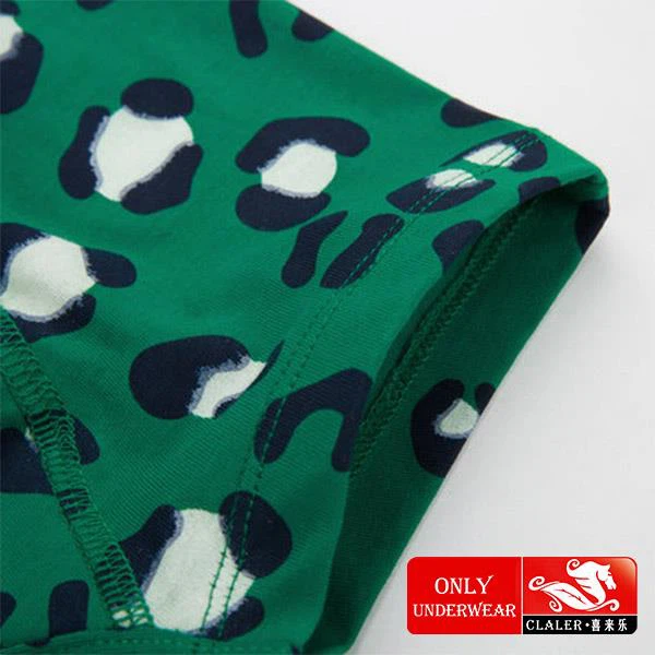 Printing Teenager Children's Underwear